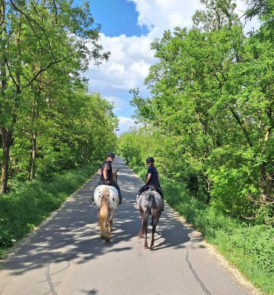 Horse-riding