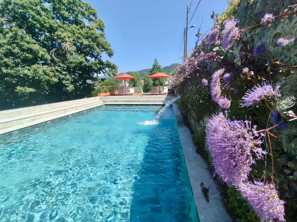 Garden view, Pool view, Swimming pool