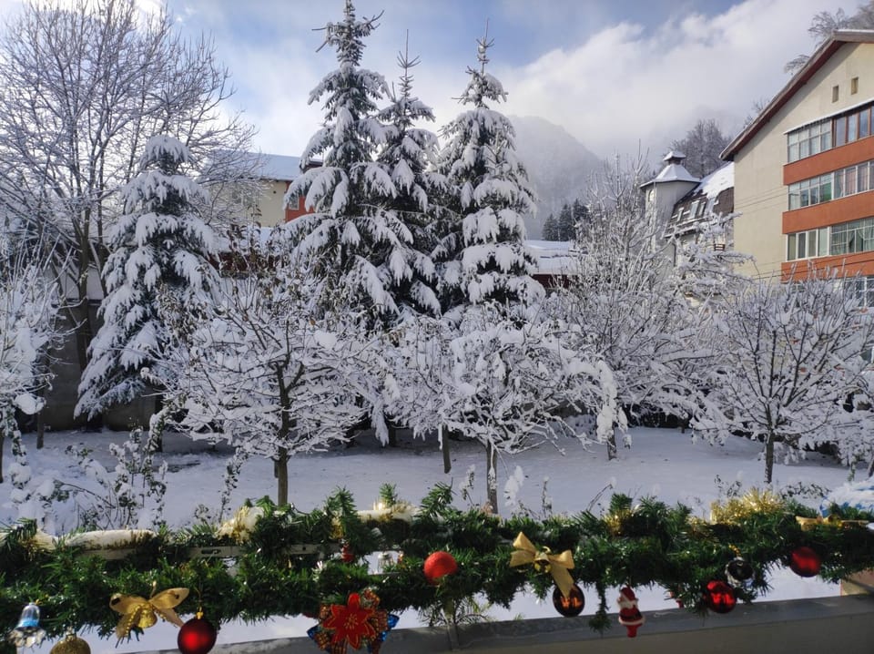 Natural landscape, Winter
