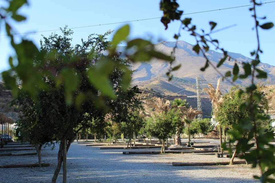Mountain view