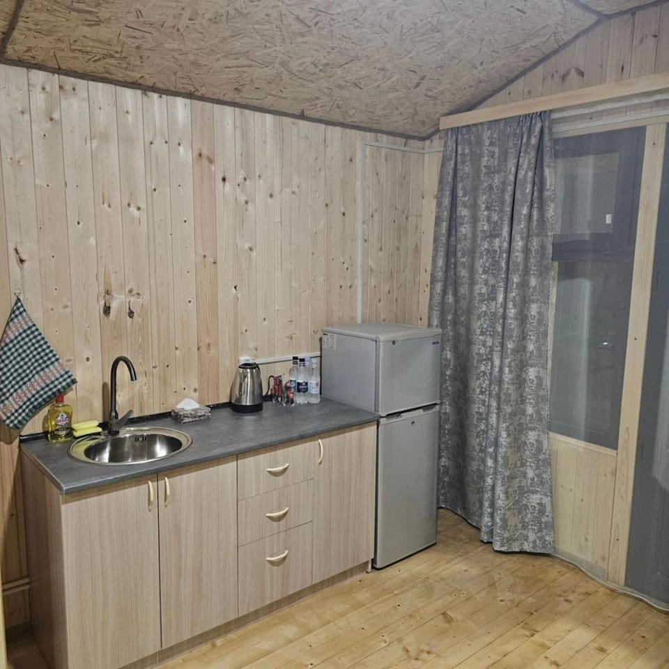 Kitchen or kitchenette, minibar