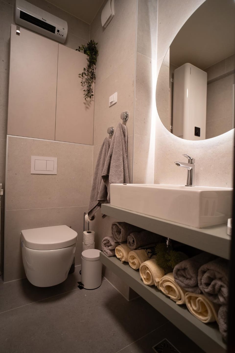 Shower, Toilet, towels
