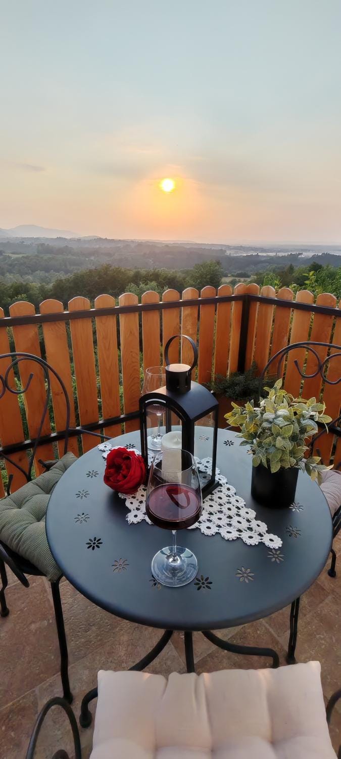 Vinea holiday home House in Slovenia