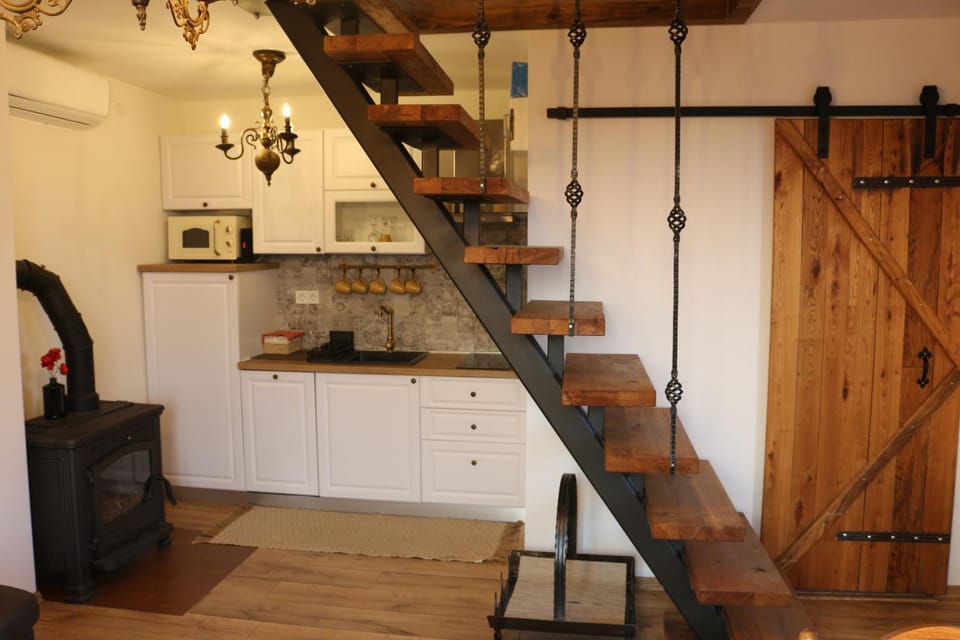 Vinea holiday home House in Slovenia