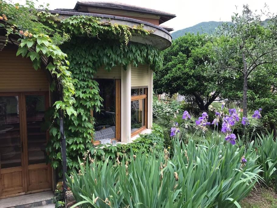 Property building, Spring, Garden