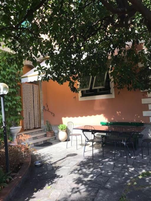 Patio, Garden