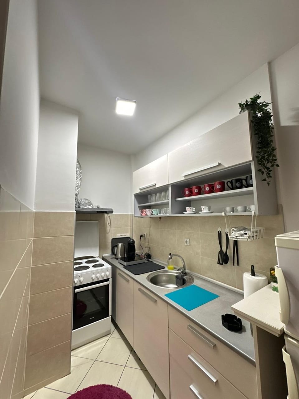 PLANIS apartments Apartment in Serbia