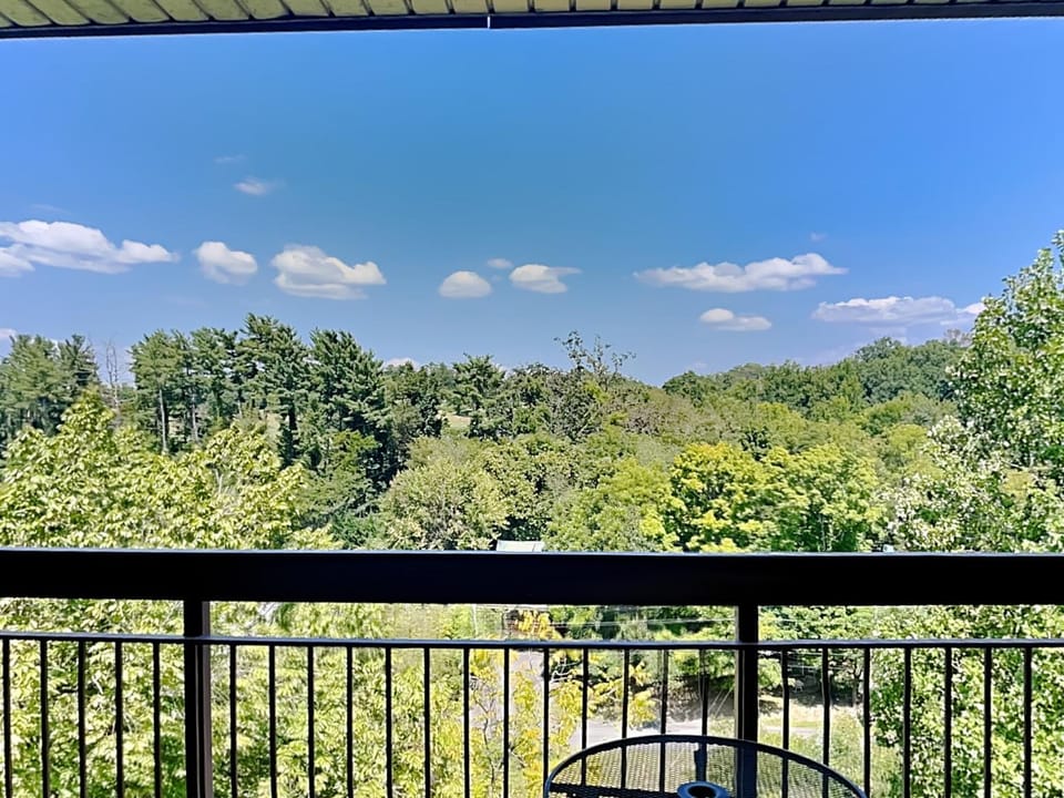 Natural landscape, View (from property/room), Balcony/Terrace