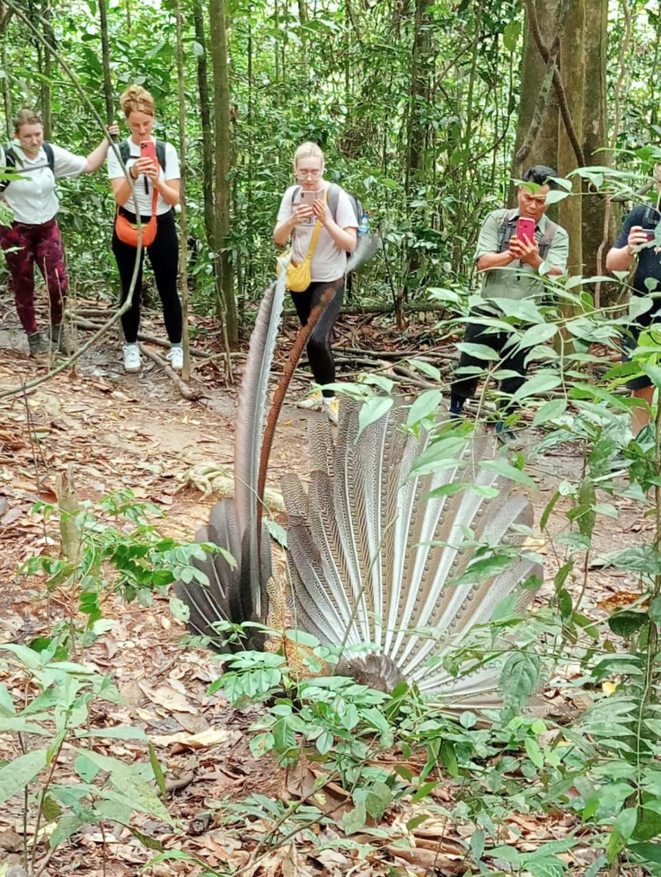 Green View Guest House only treking with US Bed and Breakfast in Indonesia