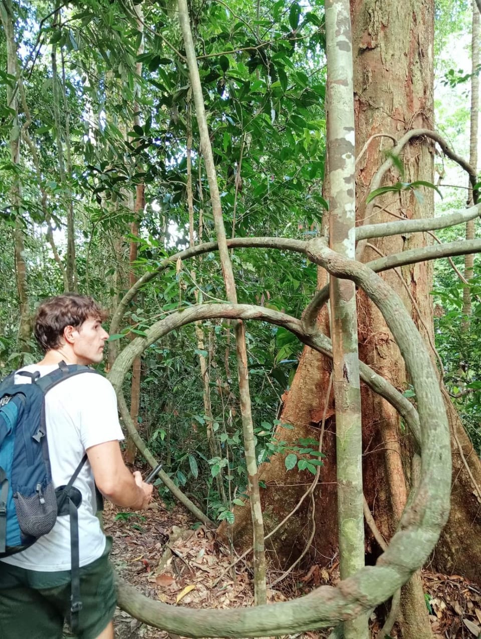 Green View Guest House only treking with US Bed and Breakfast in Indonesia