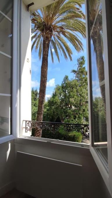 Studio rénové, vue dégagée et arborée, 700m plage Apartment in Cannes