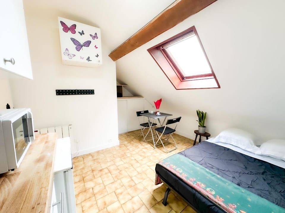 Anh Dao 3 - Studio, centre ville, tiamconciergerie Apartment in Île-de-France