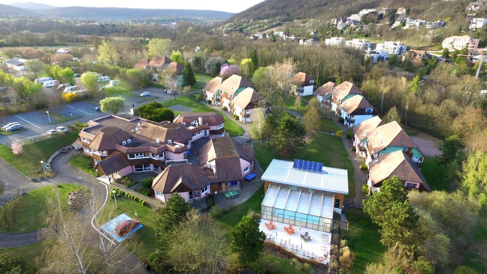 Garden view, Swimming pool, Swimming pool
