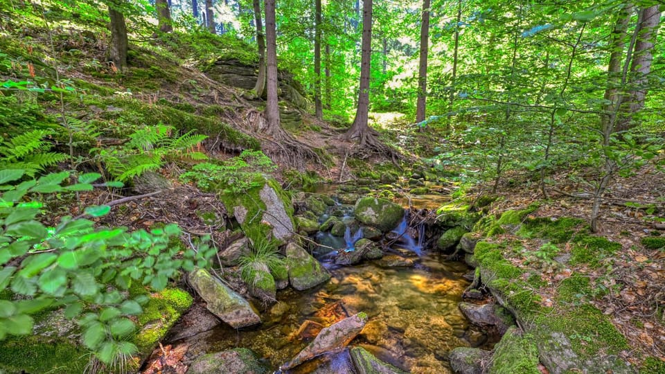 Natural landscape