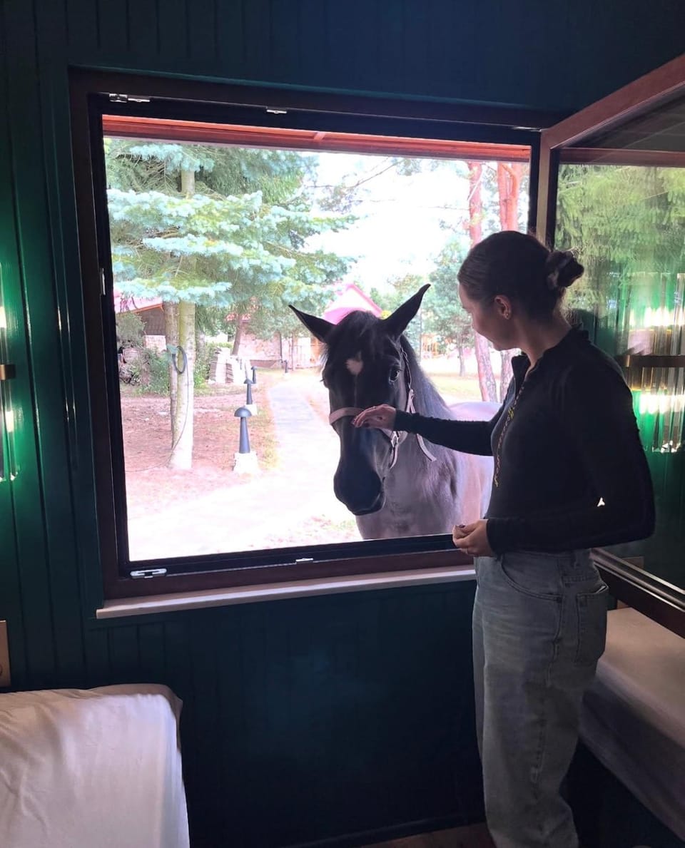 Horse-riding, View (from property/room), View (from property/room), Photo of the whole room, Garden view