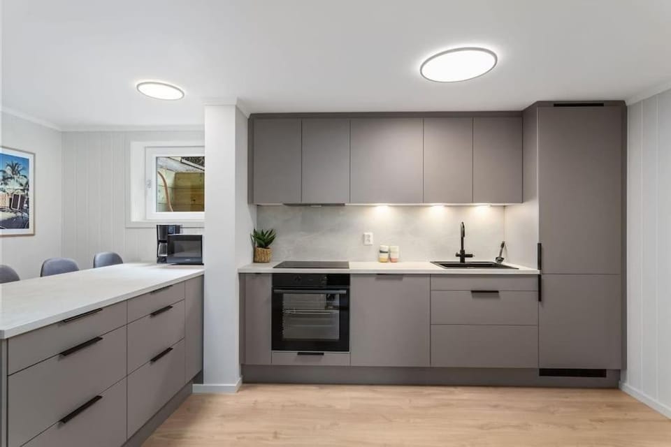 4 bedroom appartment - close to city center, uni & Technology park - fully furnished Apartment in Viken, Norway