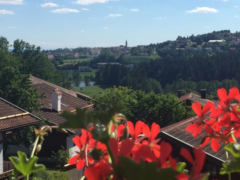 Ferienwohnung Hauzenberg Blick Apartment in South Bohemian Region