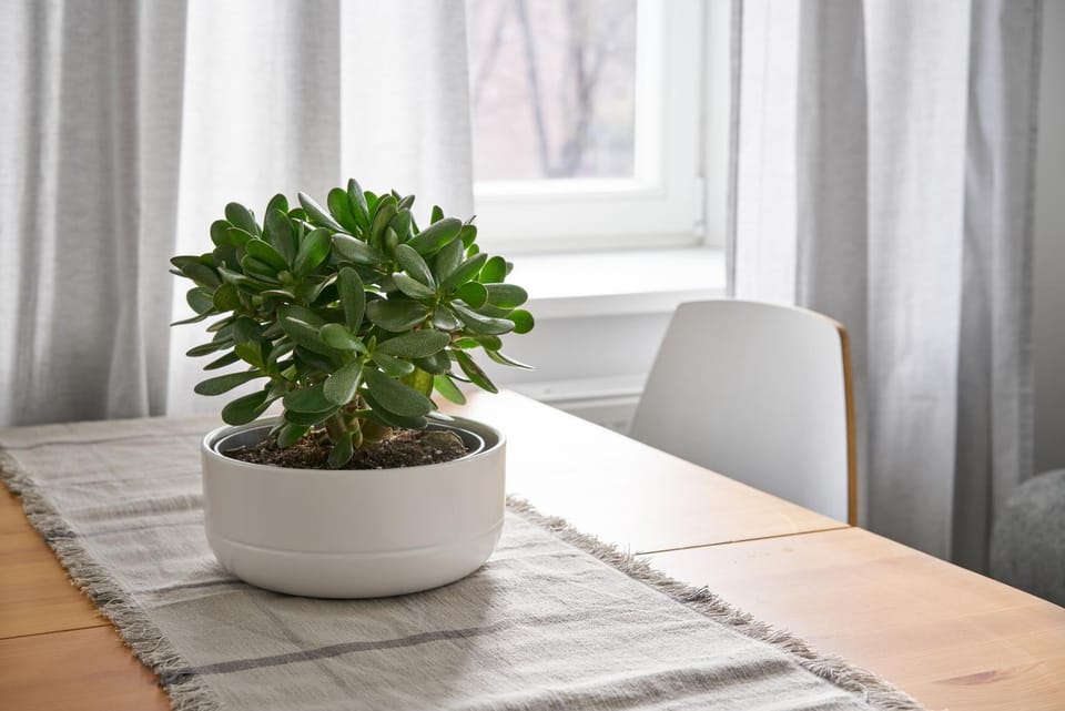 Cute&Light Apartment, Vilnius City Centre Apartment in Vilnius