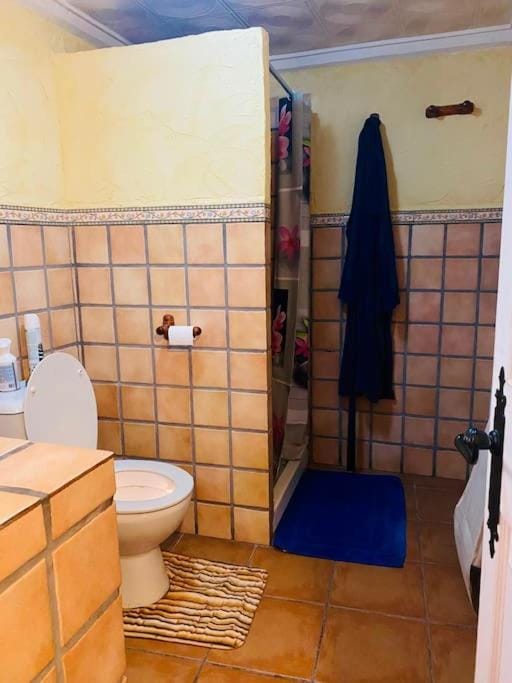Shower, Toilet