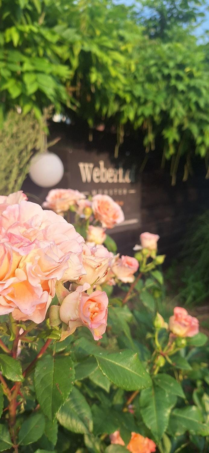 Weberhof-Münster Glamping Campground/ 
RV Resort in Münster