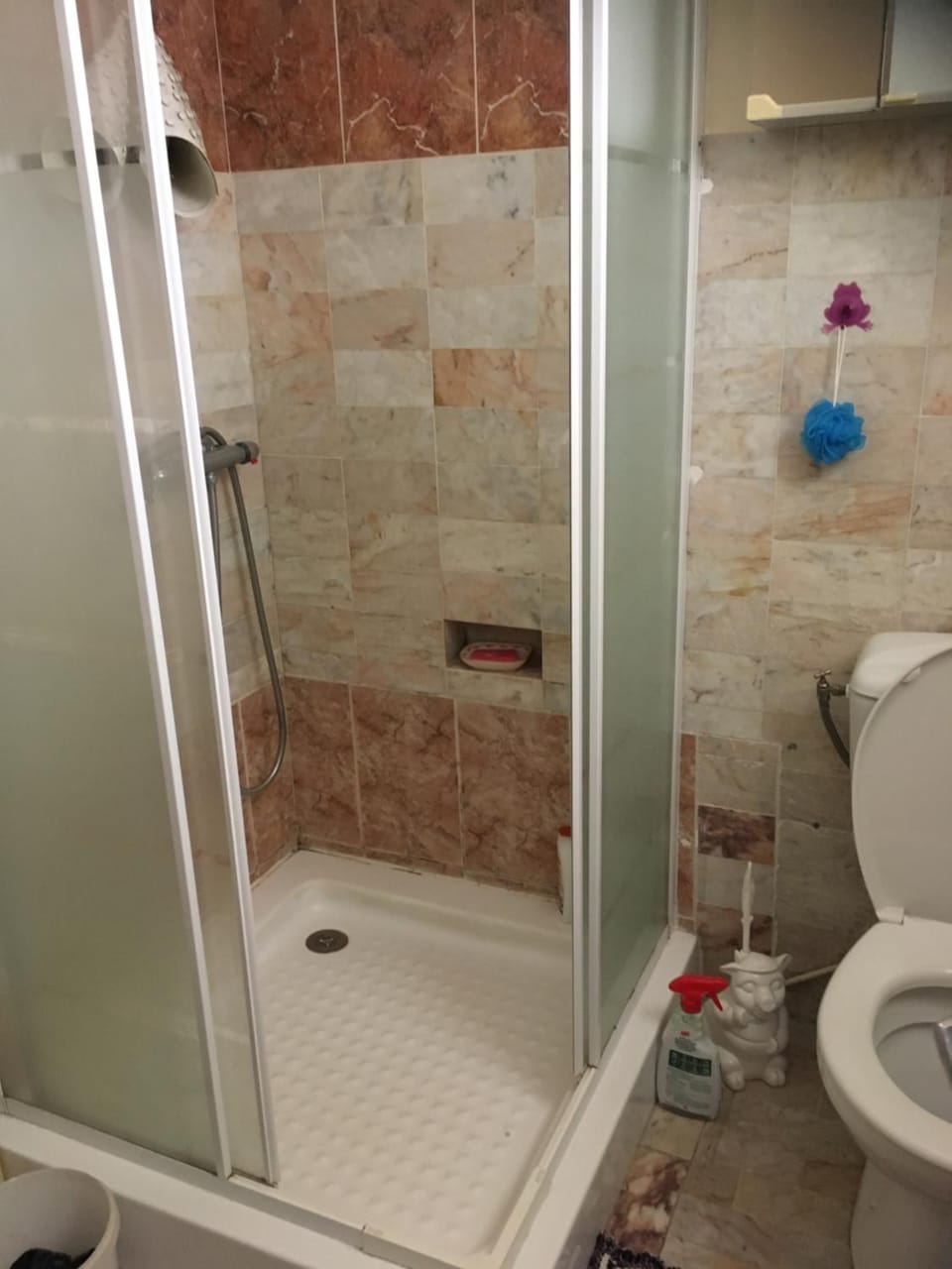 Chez Petra Apartment in Vernet-les-Bains