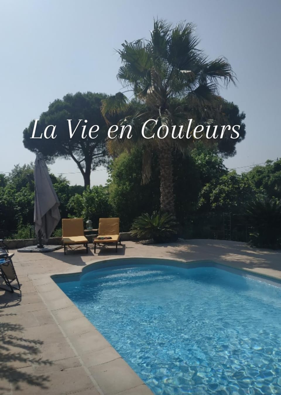 La Vie en Couleurs Chambre d'hôtes, gîte Bed and Breakfast in Roquebrune-sur-Argens
