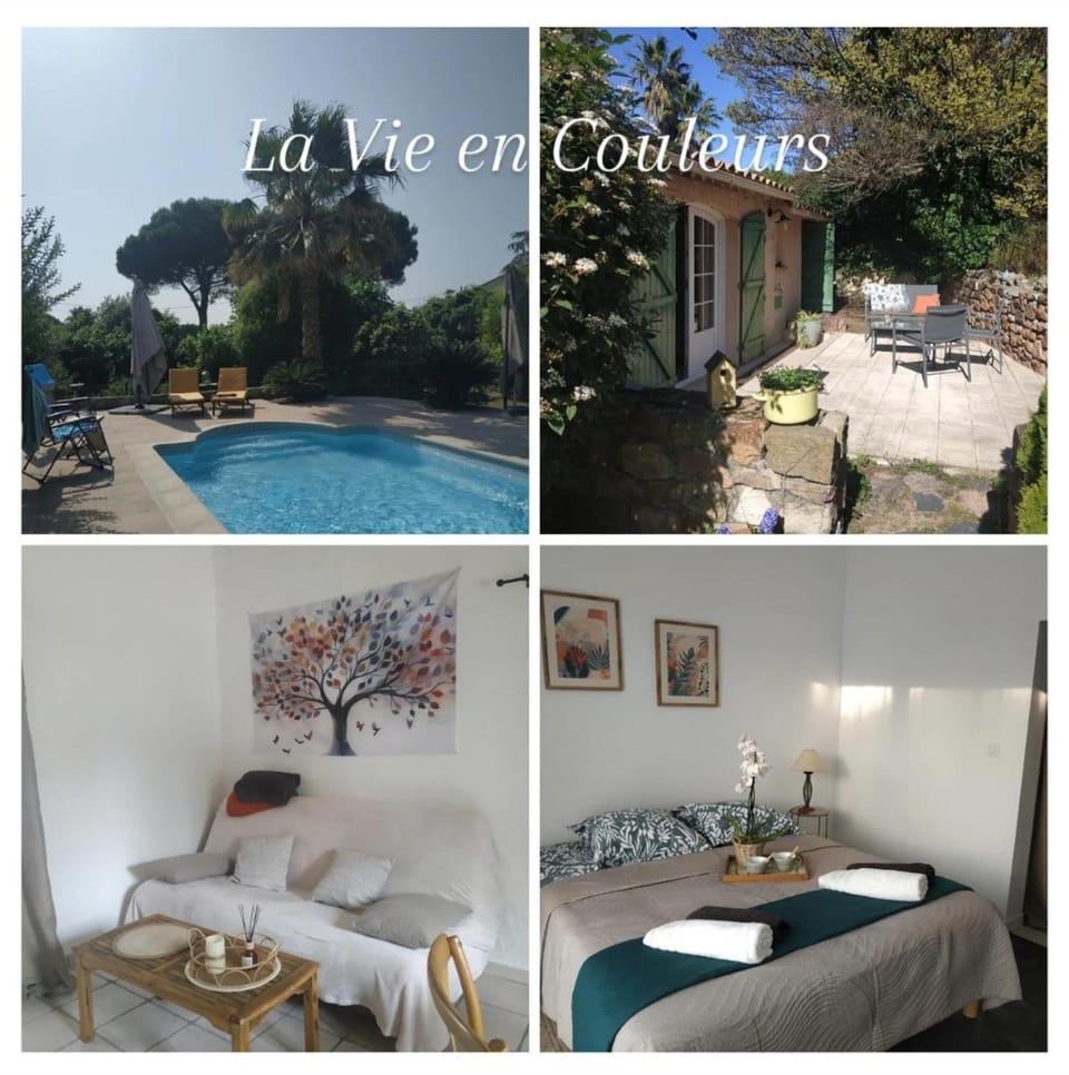 La Vie en Couleurs Chambre d'hôtes, gîte Bed and Breakfast in Roquebrune-sur-Argens