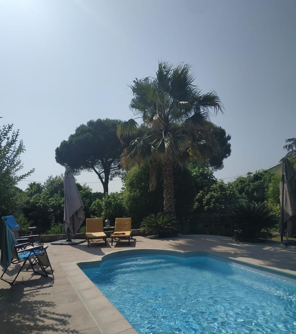 Garden view, Swimming pool, sunbed