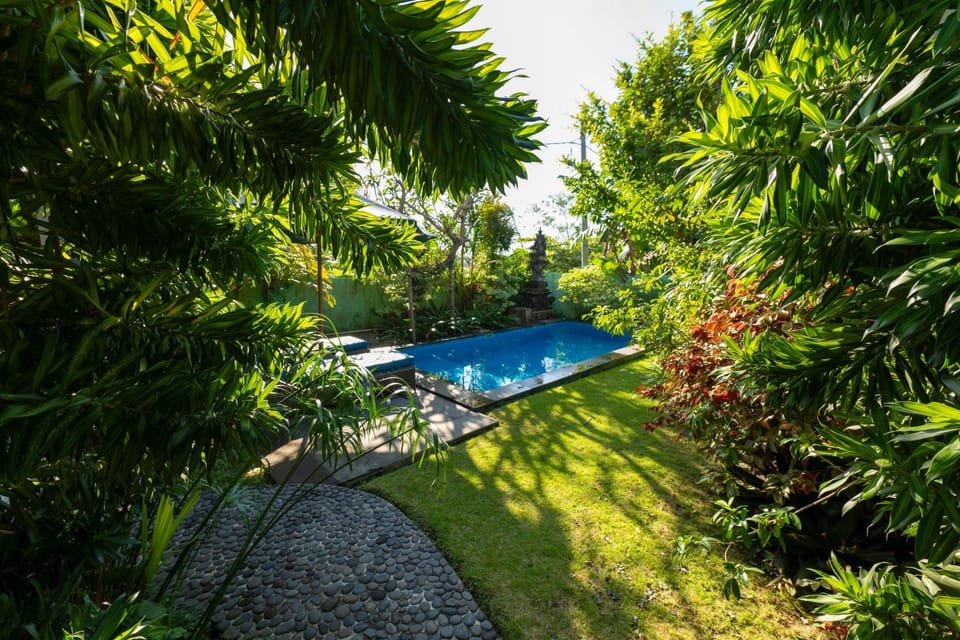 Spring, Garden view, Swimming pool