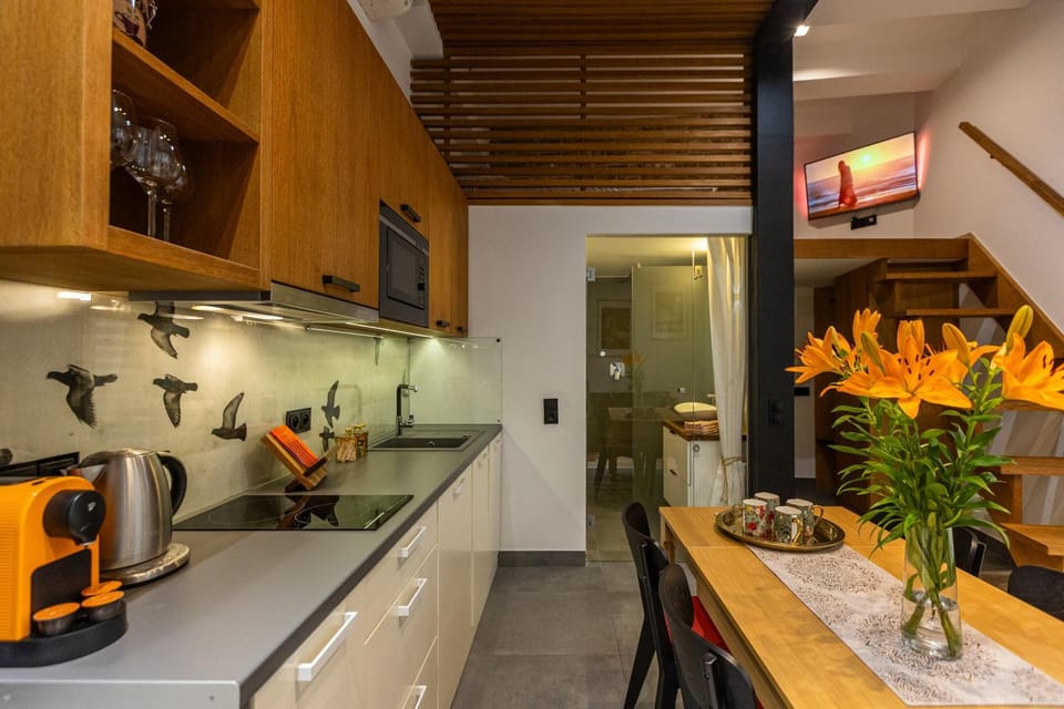 Kitchen or kitchenette, dishwasher, pet friendly, stove