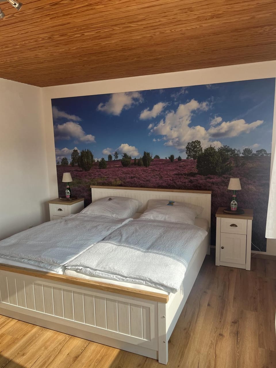 Ferienwohnung Olendorp Apartment in Heidekreis