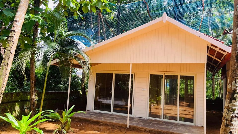 Property building, Day, Garden