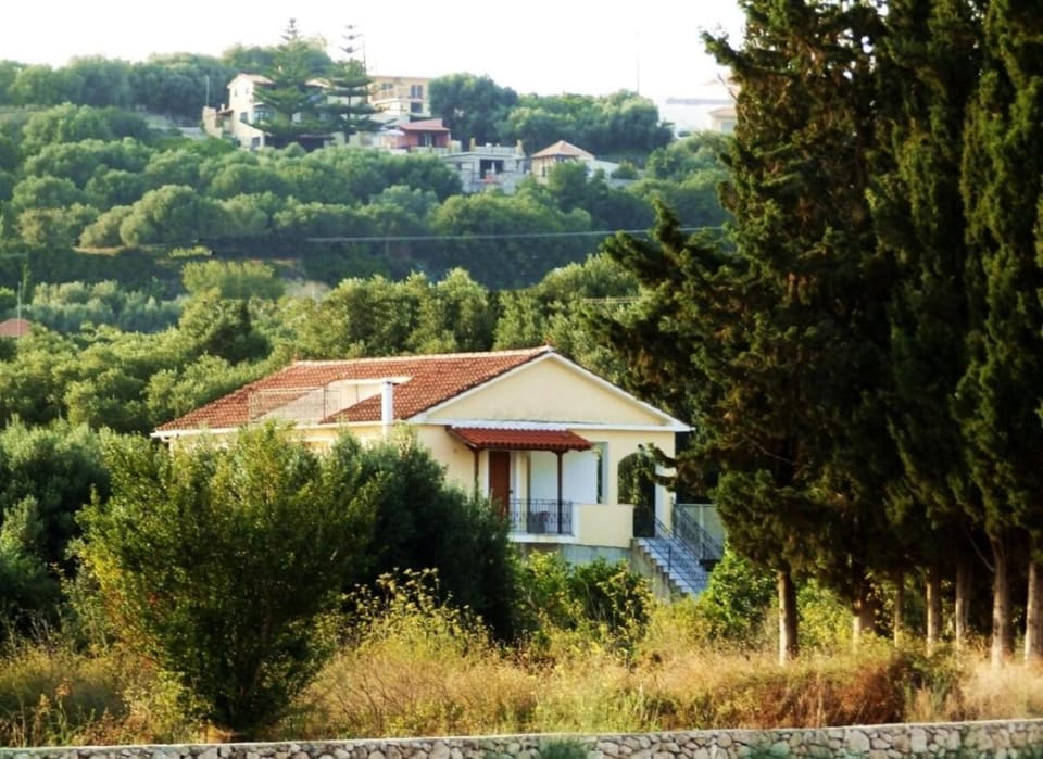 Property building, Day