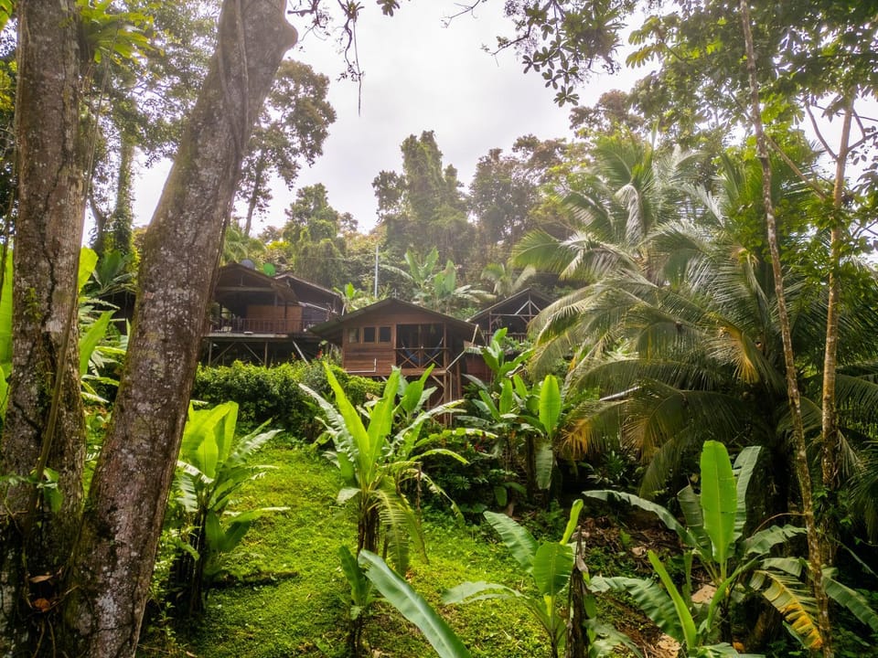 Property building, Restaurant/places to eat, Garden, Garden view, Breakfast
