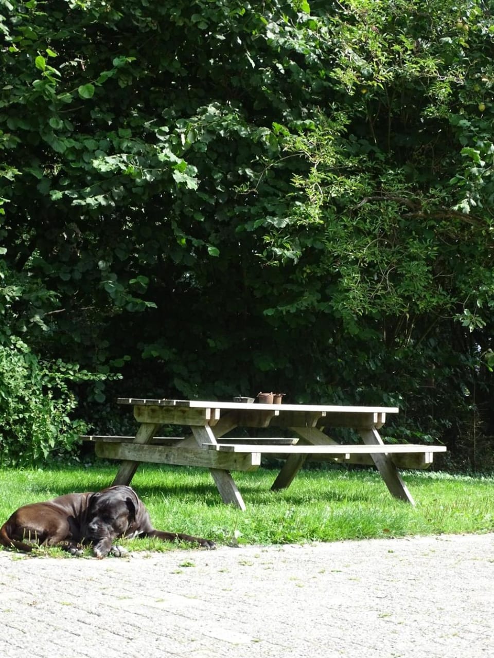 B&B Aan de Vaart Bed and Breakfast in Drenthe (province)