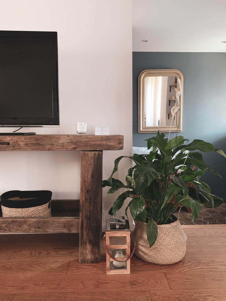 TV and multimedia