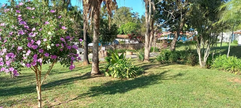 Natural landscape, Garden view