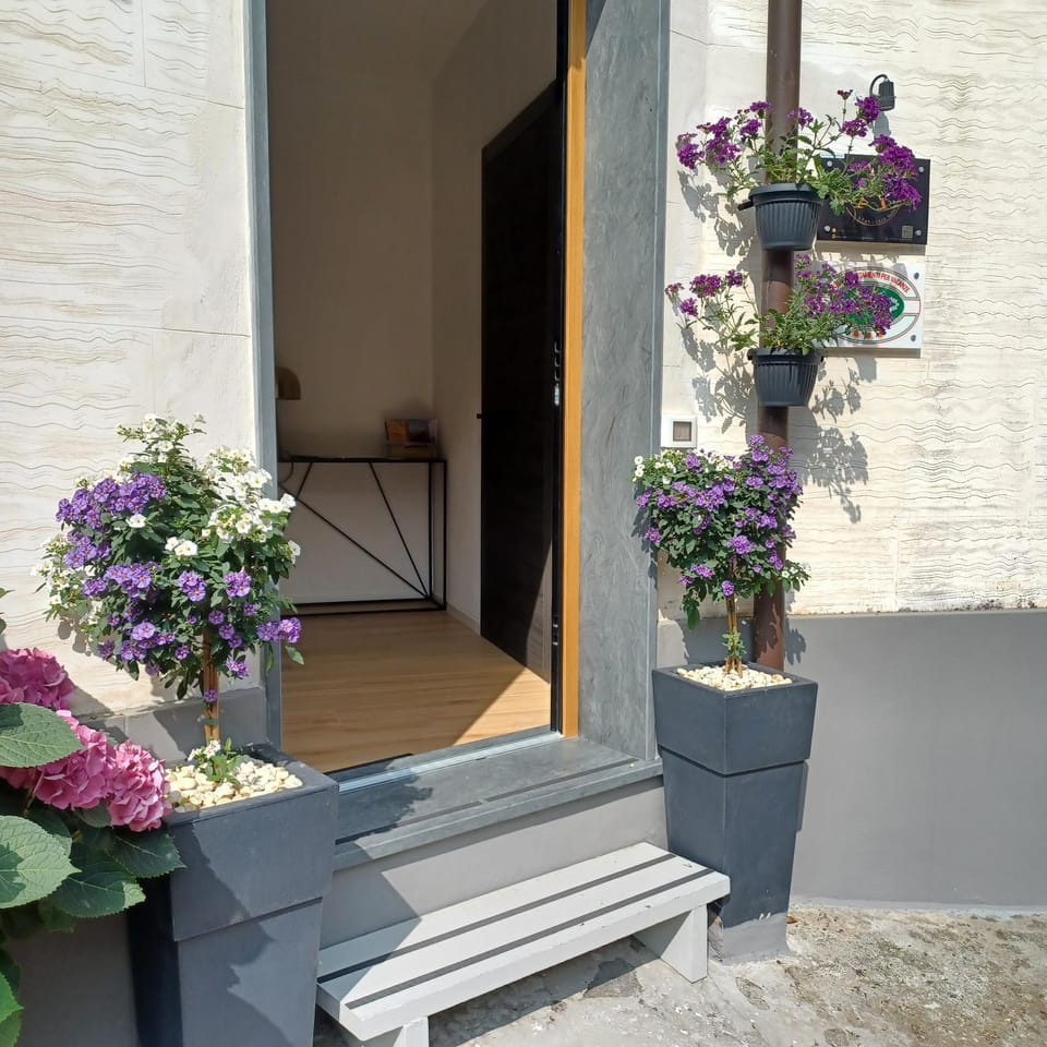 Property building, Spring