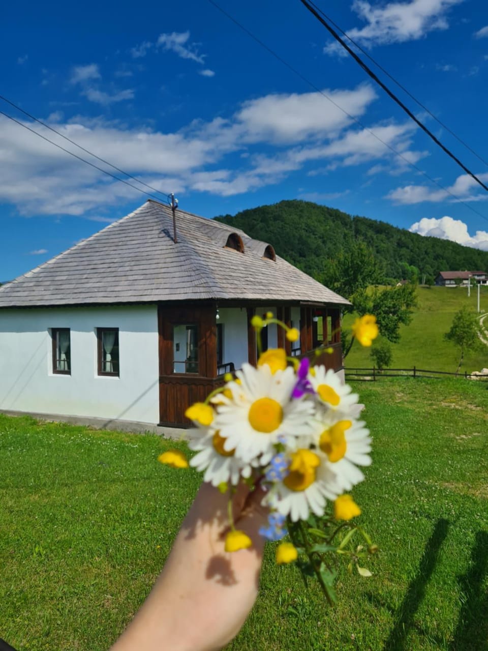 Property building, Garden, Garden view, Garden view