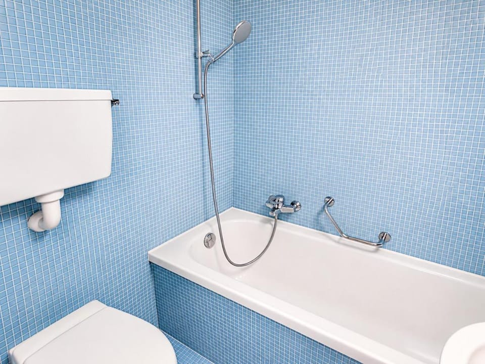 Toilet, Bathroom, Bath