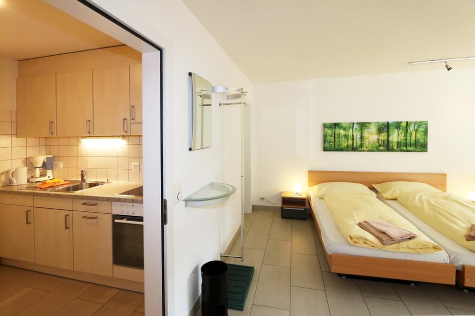 Kitchen or kitchenette, Bedroom