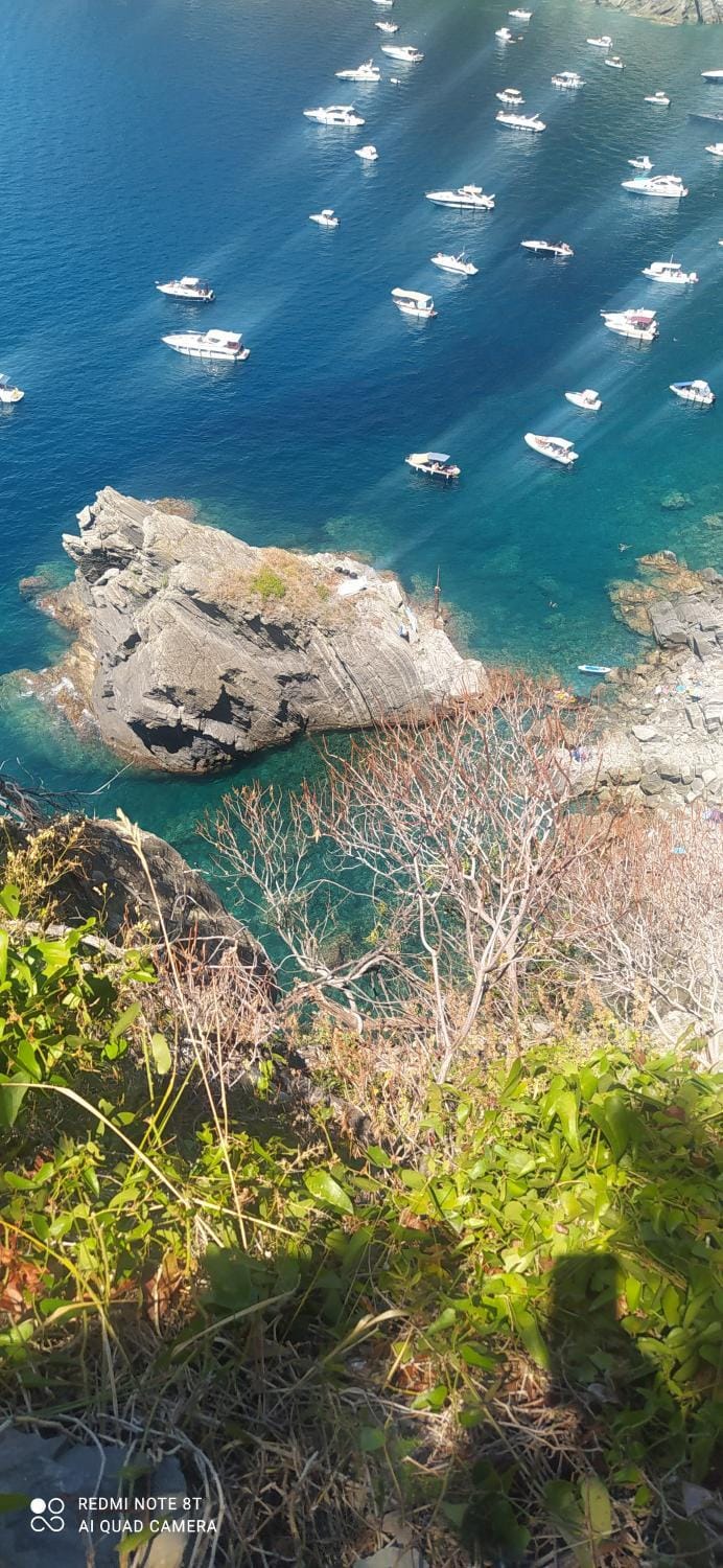Natural landscape