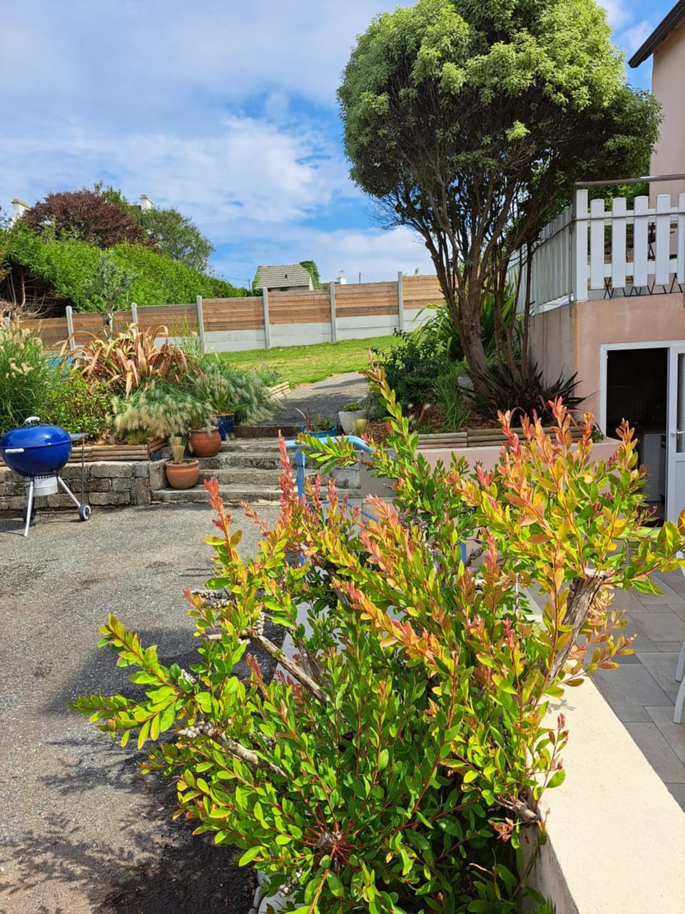 Garden, Garden view, Parking