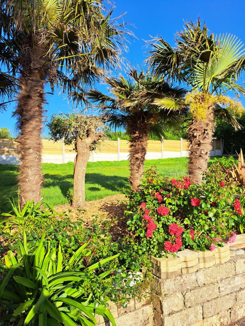 Natural landscape, Garden, Garden view