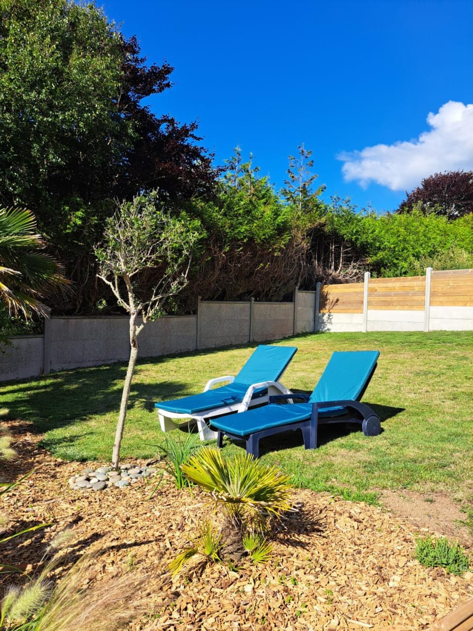 Garden, Garden view, sunbed