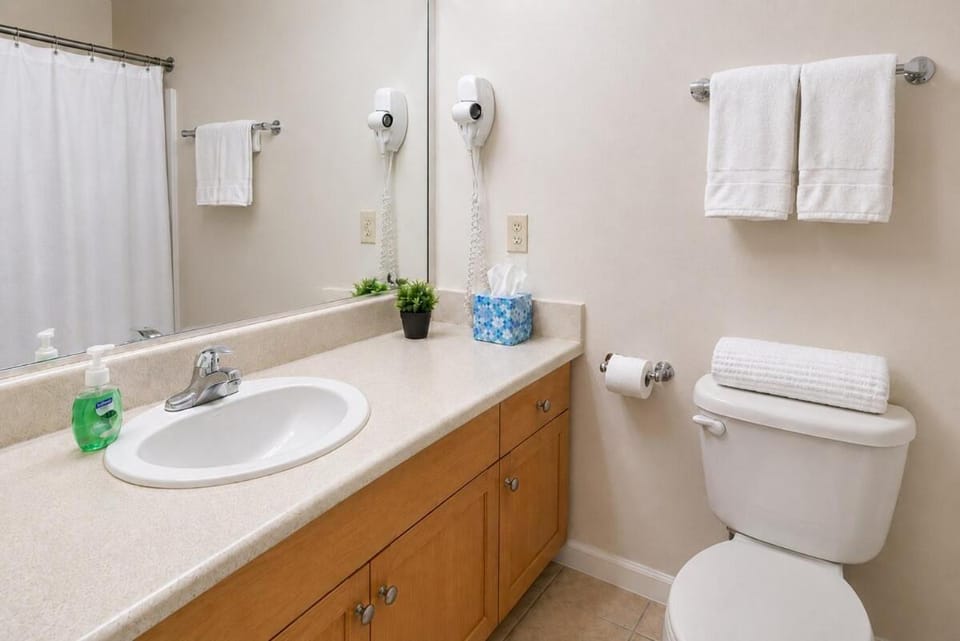 Cozy Playhouse Sq Loft Near Clinic & CSU Apartment in Cleveland Heights