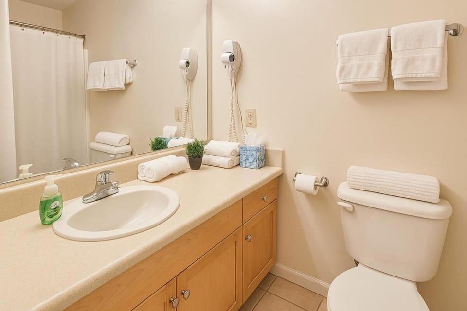 Cozy Playhouse Sq Loft Near Clinic & CSU Apartment in Cleveland Heights