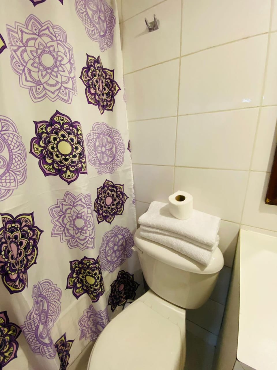Alojamiento santa lucia Apartment in Santiago