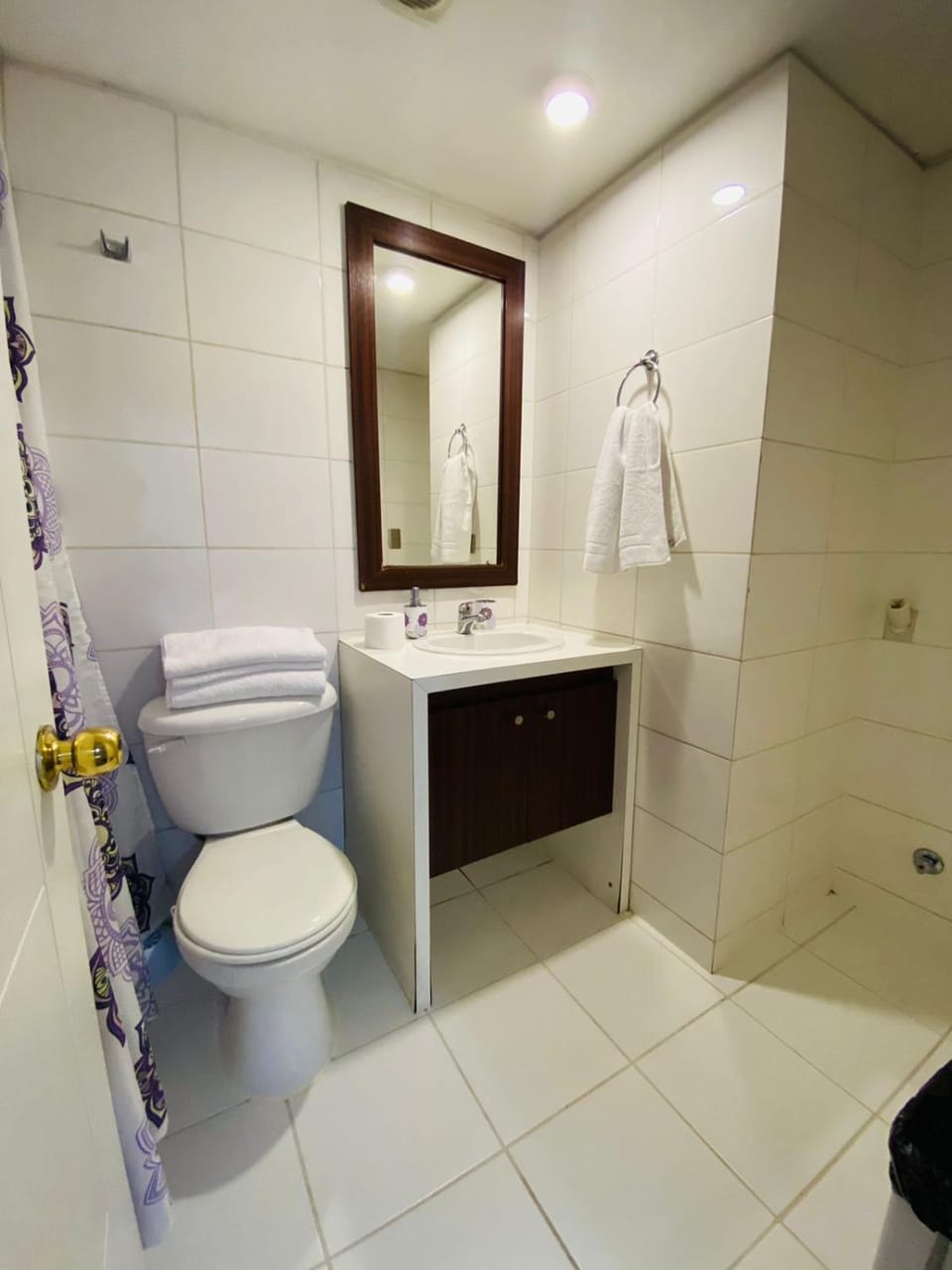 Alojamiento santa lucia Apartment in Santiago