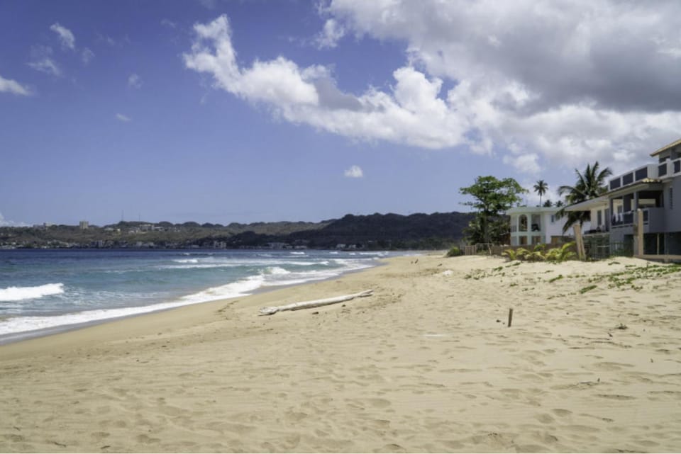 Pelican Dock Apartments Apartment in Puerto Rico